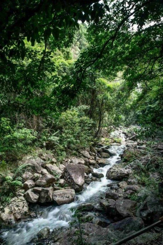 以撒的结合：胎衣